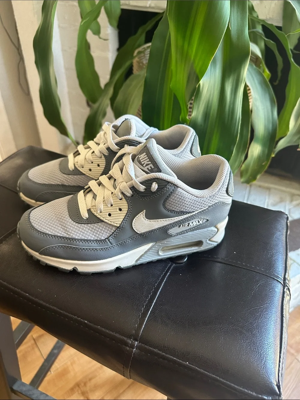 Nike Gray and White Air Max Sneakers